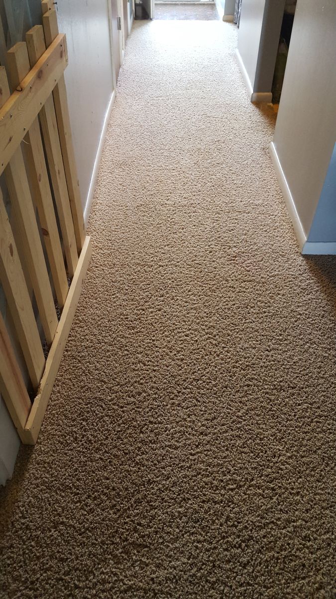 Carpet Cleaning in Fort Wayne, IN