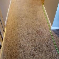 Carpet-Cleaning-in-Fort-Wayne-IN 1