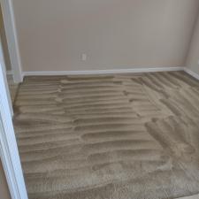 Carpet-Cleaning-in-Harvest-AL 1