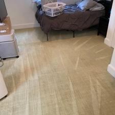 Carpet-Cleaning-in-Pittsburgh-PA 0