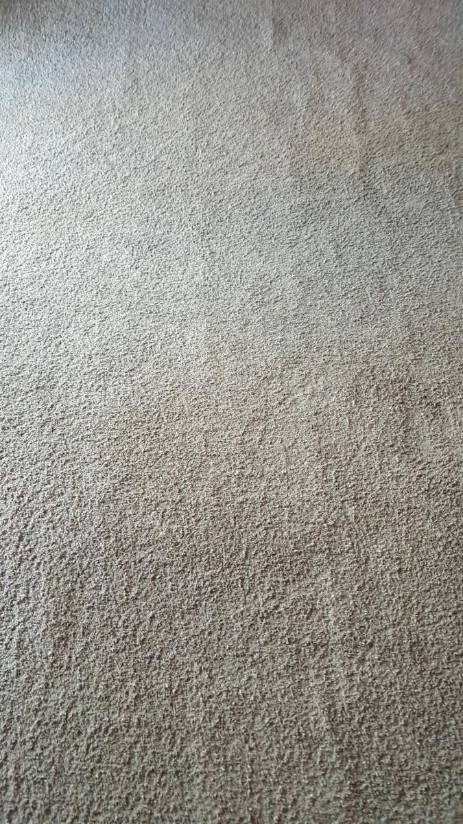 Carpet Stain Removal in Fort Wayne, IN