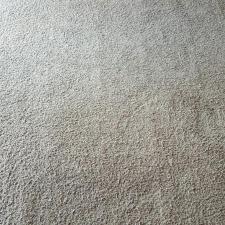 Carpet Stain Removal in Fort Wayne, IN