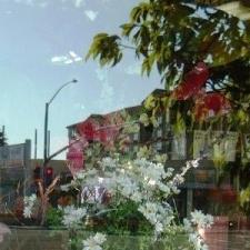 Commercial-Storefront-Window-Replacement-in-Mission-Viejo-CA 7
