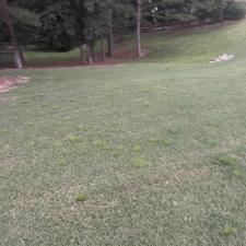 Weed-Control-in-Clayton-NC 1