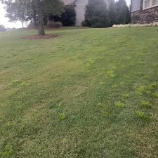 Weed-Control-in-Clayton-NC 0